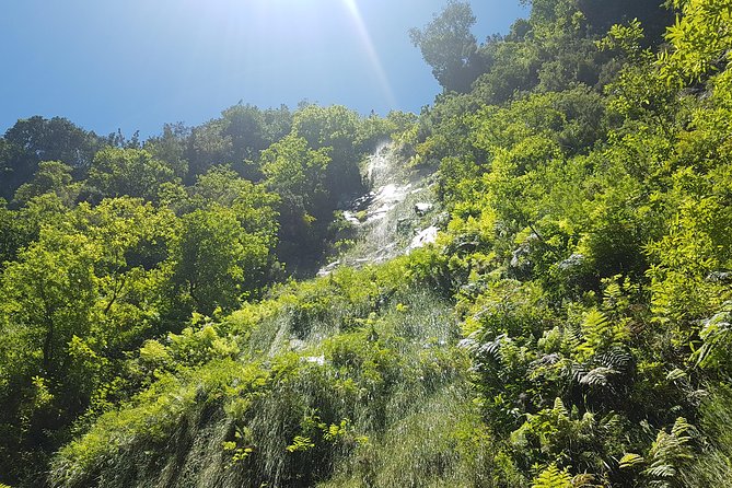 Private Guided Walk Levada do Rei - Lunch Option After the Walk