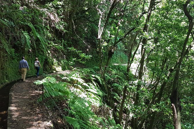 Private Guided Walk Levada do Rei - Price and Value: Is $80.67 a Fair Deal?