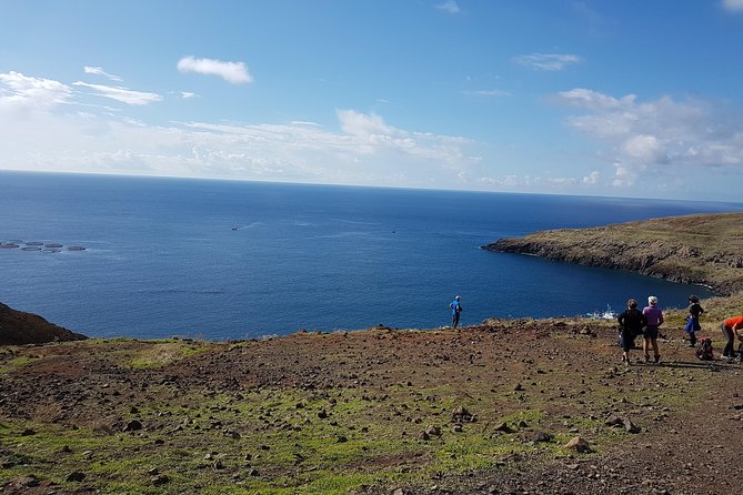 Private Guided Walk Ponta São Lourenço - Optional boat return: plan for the cash-only detail