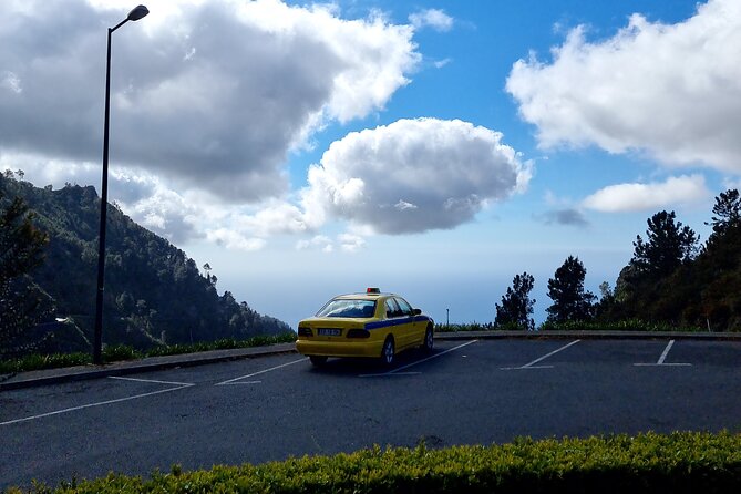 Private Half day tour (8 seat Mercedes Vito) - Camara de Lobos: Where You Stroll, Eat, and Try Poncha