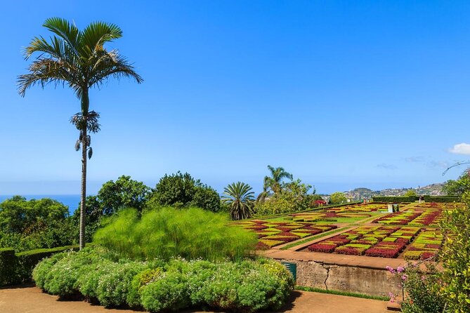 Private Half day tour around Madeira Island - Key highlights at a glance