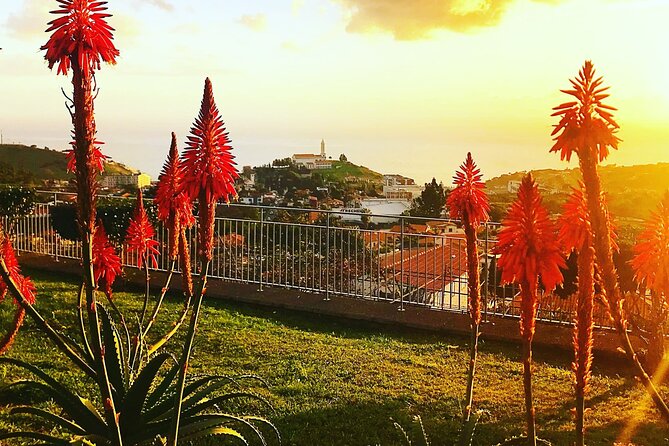 Private Half day tour around Madeira Island - Stop 1: Monte, the church, and the optional toboggan run