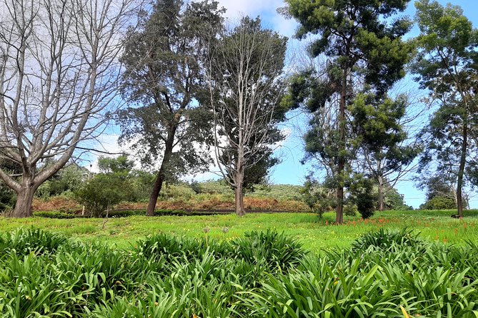 Private Halfday Flower Palheiro Gardens Tour - Price and Value: Is $108.37 Worth It?