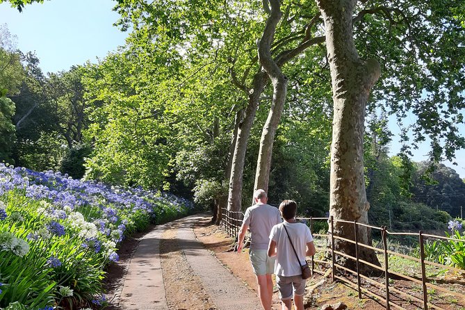Private Halfday Flower Palheiro Gardens Tour - Who Should Book This and Who Should Skip It