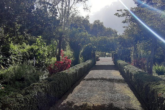 Private Halfday Flower Palheiro Gardens Tour - Hortensia Garden Tea House: Where the Views Meet the Treats