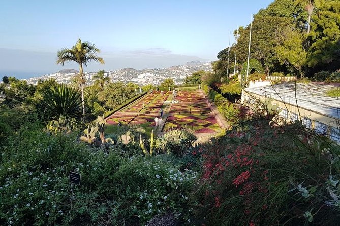 Private Halfday Madeira Garden Tour - A smart way to see Madeira’s top gardens in one half day