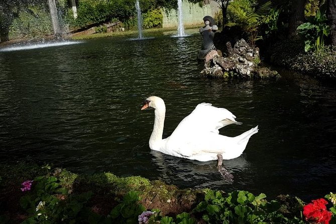 Private Halfday Madeira Garden Tour - Madeira Botanical Garden: more than a pretty walk