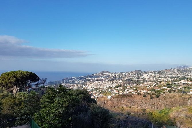 Private Halfday Madeira Garden Tour - What the 4-hour timing feels like on the ground