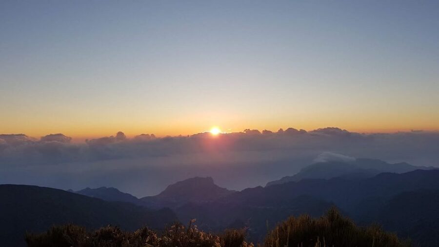 Private Jeep Tour Santana to East-Side - Price and Value: What $412 Per Group Buys You