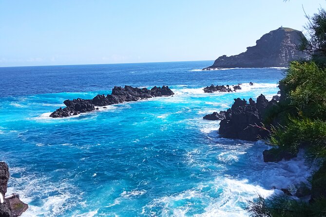 Private Madeira Island Tour: The Most Complete 8-Hour Experience - Guide Quality: Where the Reviews Really Point