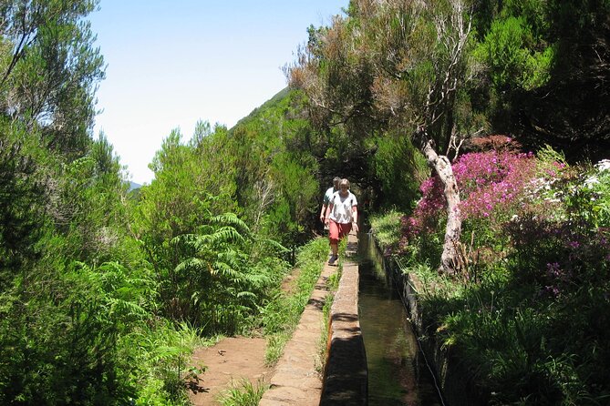 Private Madeira tour 8 people - A Private Madeira Day That Lets You Read the Weather