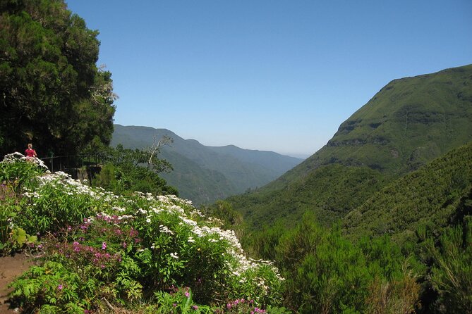 Private Madeira tour 8 people - Should You Book This Private Madeira Tour?