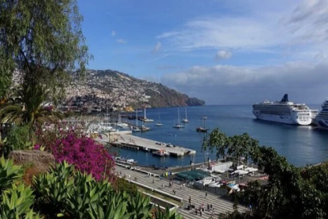 Private: Maderia Island Tour & Famous Monte Toboggan Ride - The Monte Toboggan ride, fast fun with real mechanics