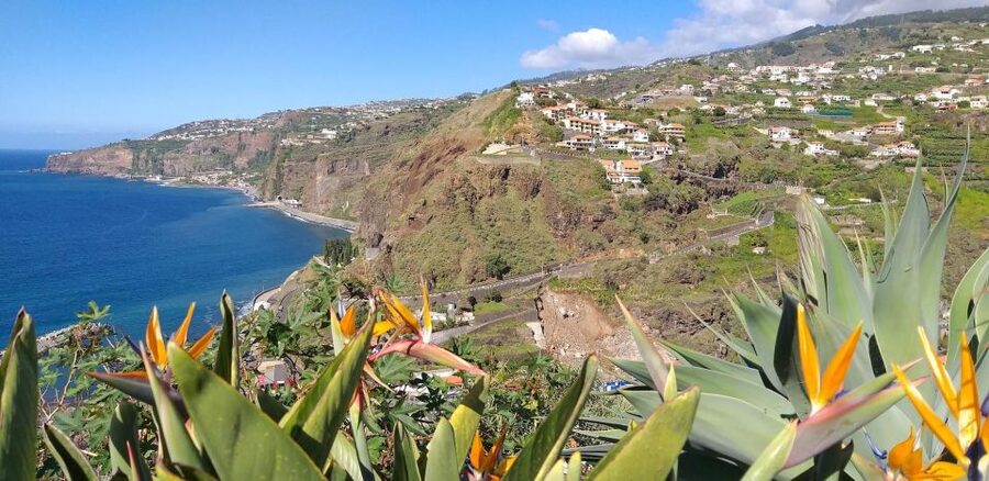Private Minubus 8 seater - Santana and Porto da Cruz: thatched houses, rum, and the island’s east personality