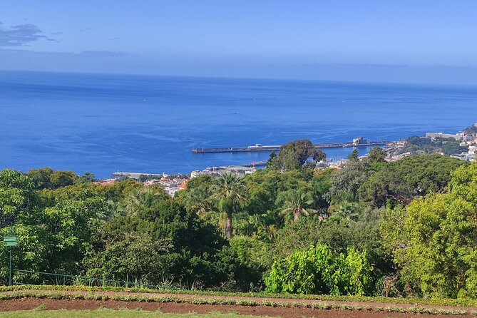 Private Sidecar Tour – Downtown Funchal for 1 or 2 People - Price and value: $108.13 per sidecar, up to two people