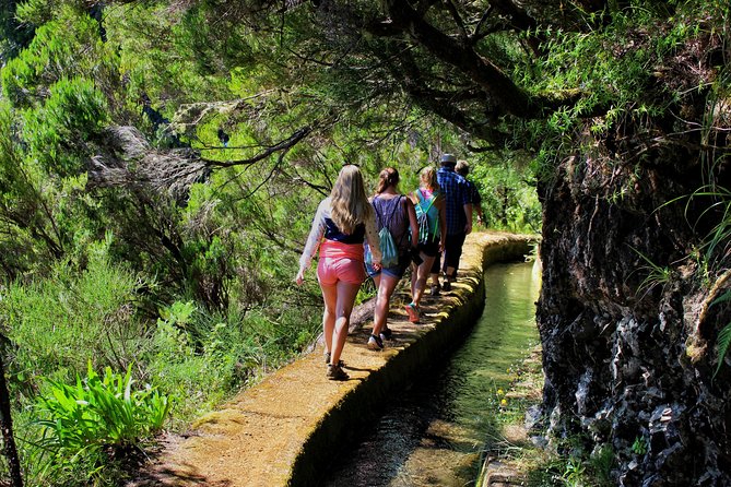 Private Small Group Full Day 4x4 Tour in Northwest Madeira - The Serra de Agua and Encumeada photo window (Stop 1 to Stop 2)