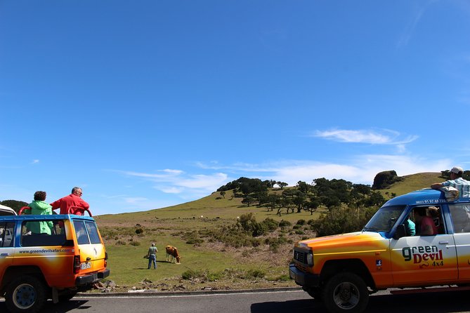Private Small Group Full Day 4x4 Tour in Northwest Madeira - Ribeira da Janela and Seixal: short village stops that add up