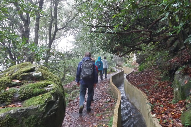 Private Sunrise Guided hike on Pico do Areeiro or other custom - Who this sunrise hike fits best