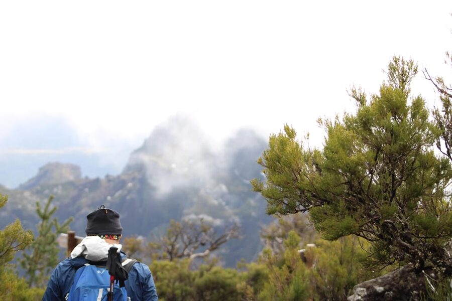 Private Sunrise Hike to Pico Ruivo with Hotel Pickup - The Return Stops: Santana Traditional Houses and Scenic Viewpoints