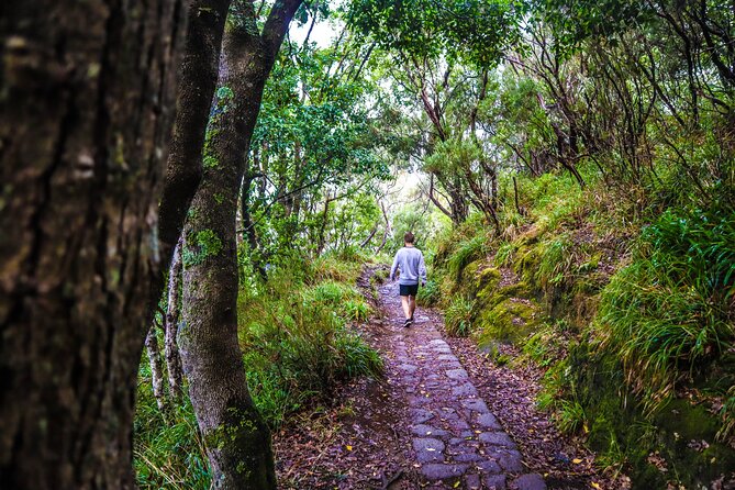 Private Sunrise Pico do Areeiro Half Day with easy levada walk - Stop 2: PR11 Vereda dos Balcões, an easy levada taste