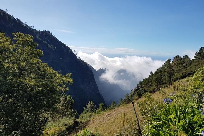 Private Tour Nun's Valley Halfday - Who Should Book This and Who Might Skip It