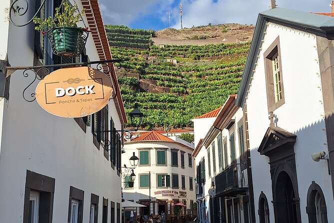 Private Tour Skywalk and Valley of the Nuns - Valley of the Nuns, Mountains, Chestnuts, and a True Madeira Village Feel