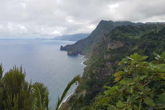 Private Tour The Biosphere Santana - Why the Santana Biosphere Reserve is worth half a day on Madeira