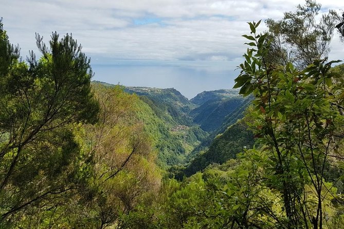 Private Tour The Biosphere Santana - The guide experience: more than transport, more than directions