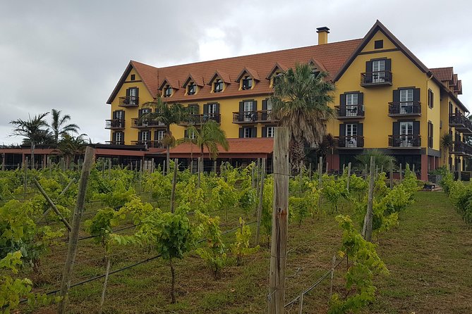 Private Tour The Biosphere Santana - Private pickup from anywhere on Madeira, and why that matters