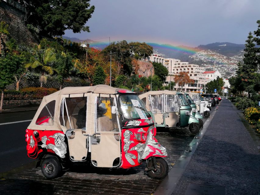 Private tour:Tuk Tuk Ride to Monte Funchal Toboggans - Monte, viewpoints, and a church stop that adds meaning