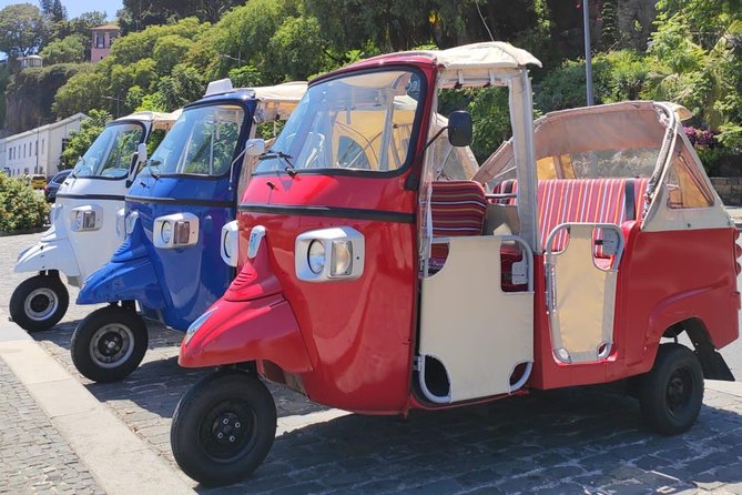 Private Tuk Tuk Tour to Old Town + Monte in Funchal - Guides Matter More Than You Think
