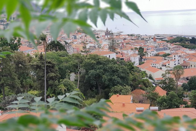 Private Tuk Tuk Tour to Old Town + Monte in Funchal - Price and Value: What $47.77 Buys You in Real Terms