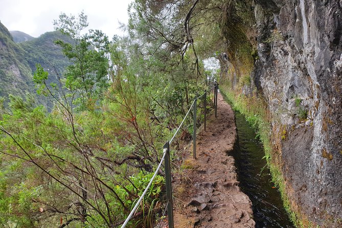 Queimadas-Caldeirão Verde - A half-day Madeira hike with a real payoff