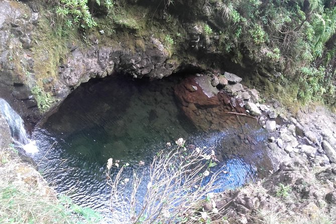 Queimadas-Caldeirão Verde - The guide and group experience: why it feels cared for