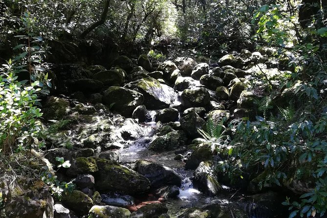 Queimadas-Caldeirão Verde - Language and communication: English for your group