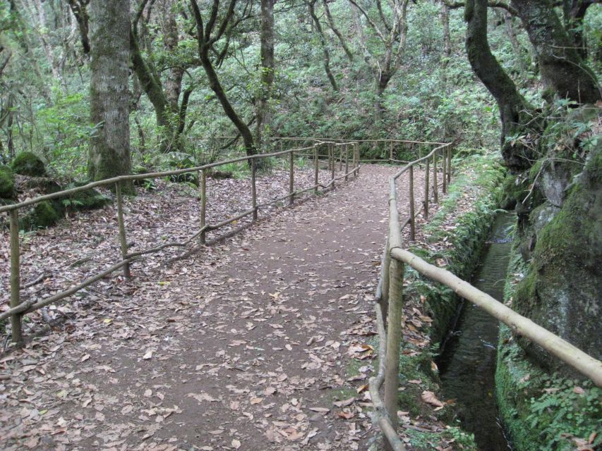 Queimadas Caldeirao Verde Full day hike - The narrow parts, oncoming traffic, and why focus is part of the experience