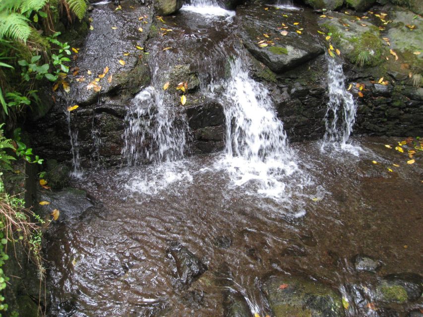 Queimadas Caldeirao Verde Full day hike - Tunnels and humid footing: the gear tips that actually help