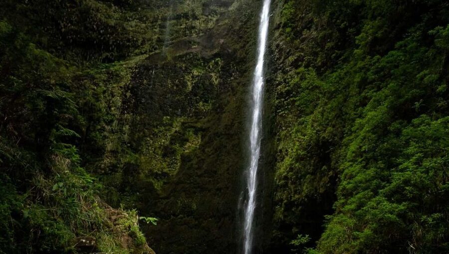 Queimadas Caldeirao Verde Full day hike - Guides, group tone, and what to expect from Maria and the crew