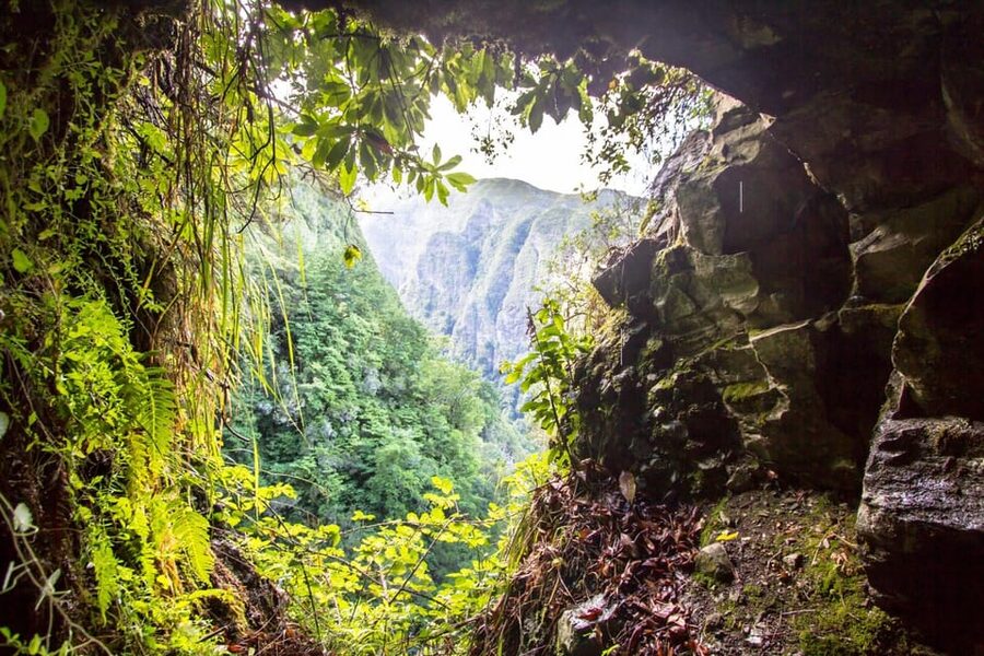 Queimadas Caldeirão Verde Madeira Island Walk - Key highlights worth your attention