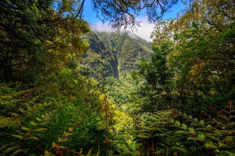 Queimadas Caldeirão Verde Madeira Island Walk - Reaching Caldeirão Verde: waterfall time and the emerald pool pause