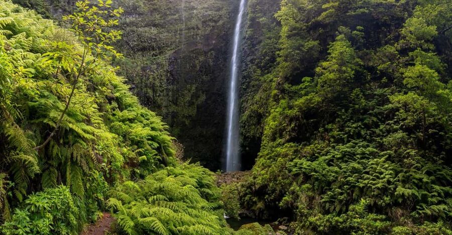 Queimadas Caldeirão Verde Madeira Island Walk - Price, timing, and value for about $45 per person