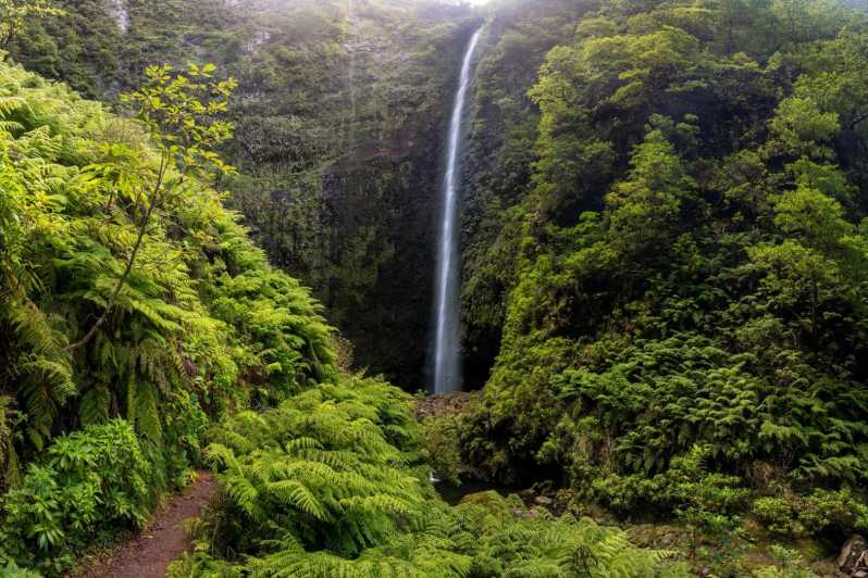 Queimadas Caldeirão Verde Madeira Island Walk - Following the levada through UNESCO Laurisilva forest