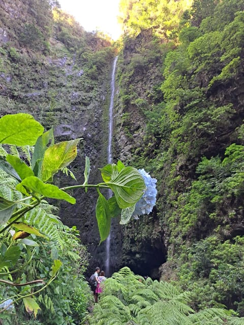 Queimadas Caldeirão Verde Walking tour with guide - Waterfalls and tunnels on the Caldeirão Verde stretch