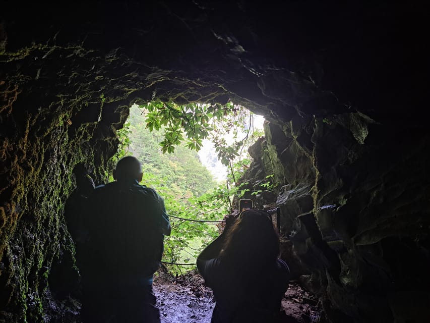 Queimadas Caldeirão Verde Walking tour with guide - The Laurissilva forest details you can look for without getting technical