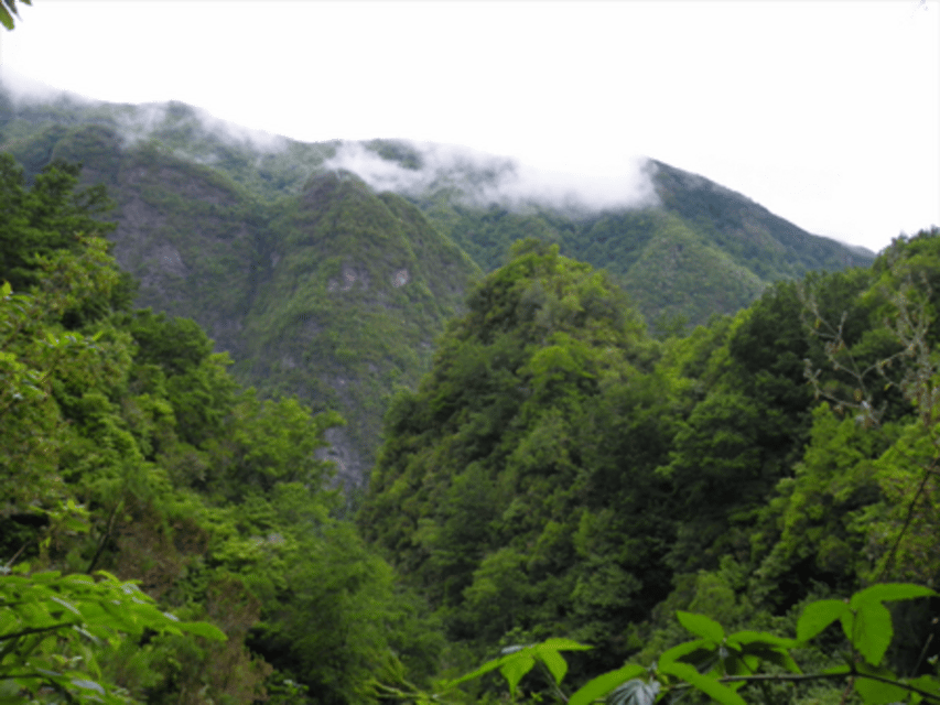 Queimadas Caldeirão Verde Walking tour with guide - 13 kilometers, moderate effort, and how to pace it without burning out