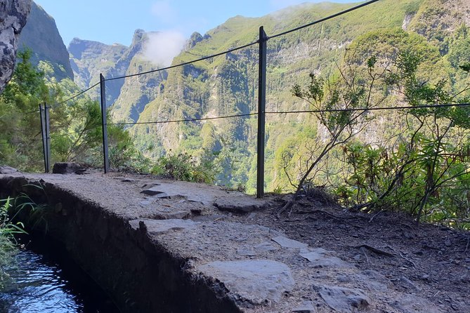 Queimadas-Caldeirão Verde - The trail through Laurissilva: what you’re actually doing on the hike