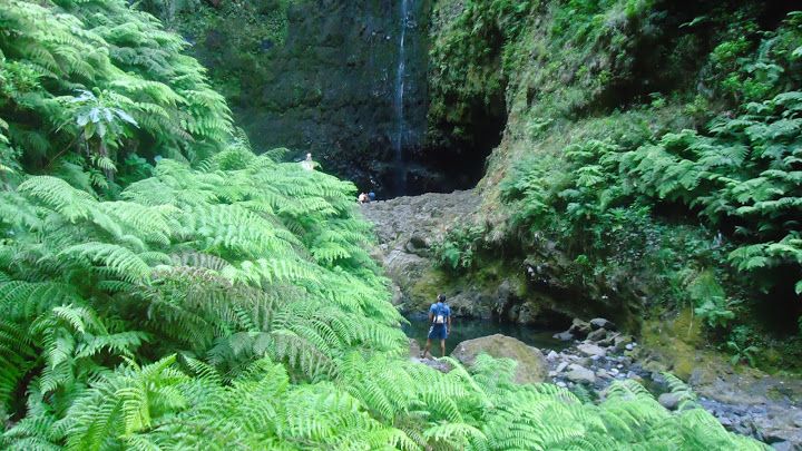 Queimadas Natural Park 5-Hour Guided Hike - Following Caldeirão Verde: the levada route you’ll remember