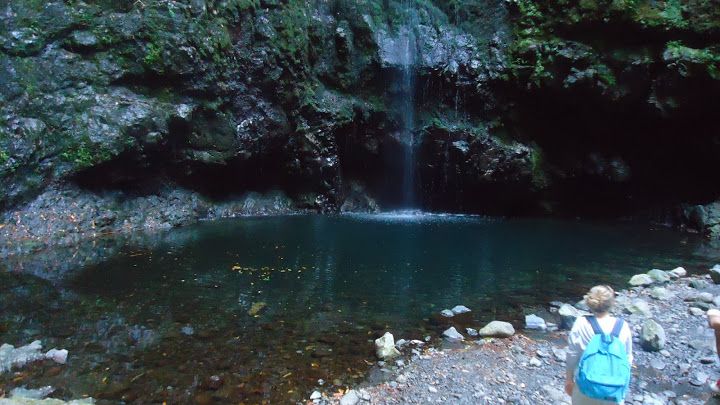 Queimadas Natural Park 5-Hour Guided Hike - What you’ll see along the way: craters, waterfalls, and sea views