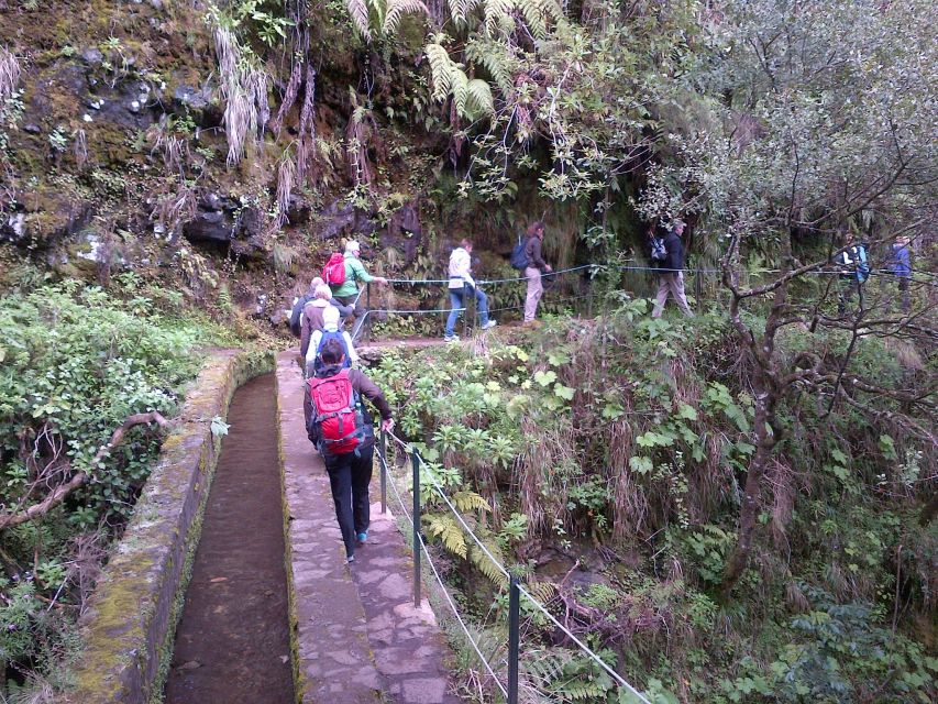 Queimadas Natural Park 5-Hour Guided Hike - Pace, footing, and the “easy-moderate” label