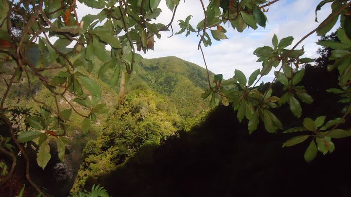 Queimadas Natural Park 5-Hour Guided Hike - Who this hike fits best, and who should skip it
